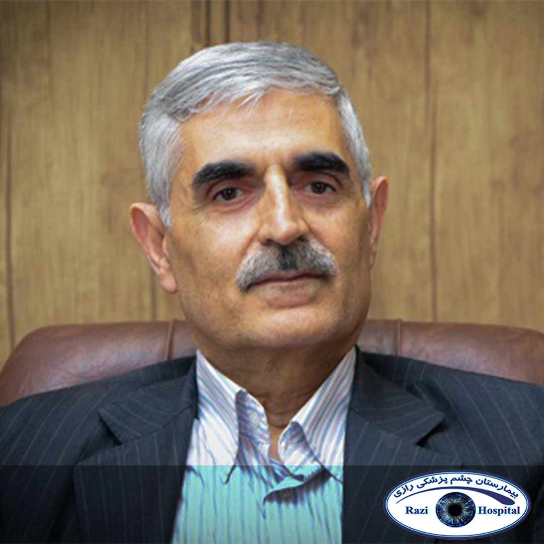 دکتر ضیاالدین طباطبایی محمدی